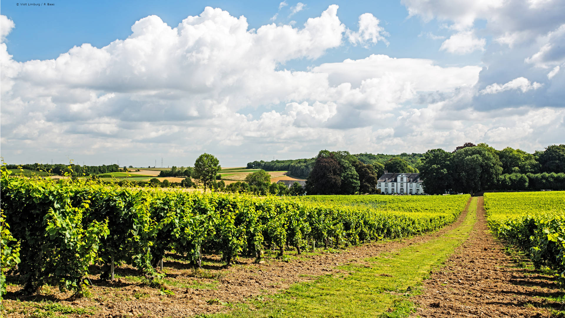 Martinus meeting center teambuilding